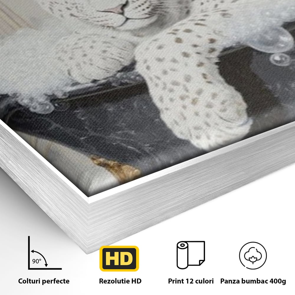 Detaliu al suprafetei: tablou canvas cu leopard alb in cada, in rama de aluminiu argintiu